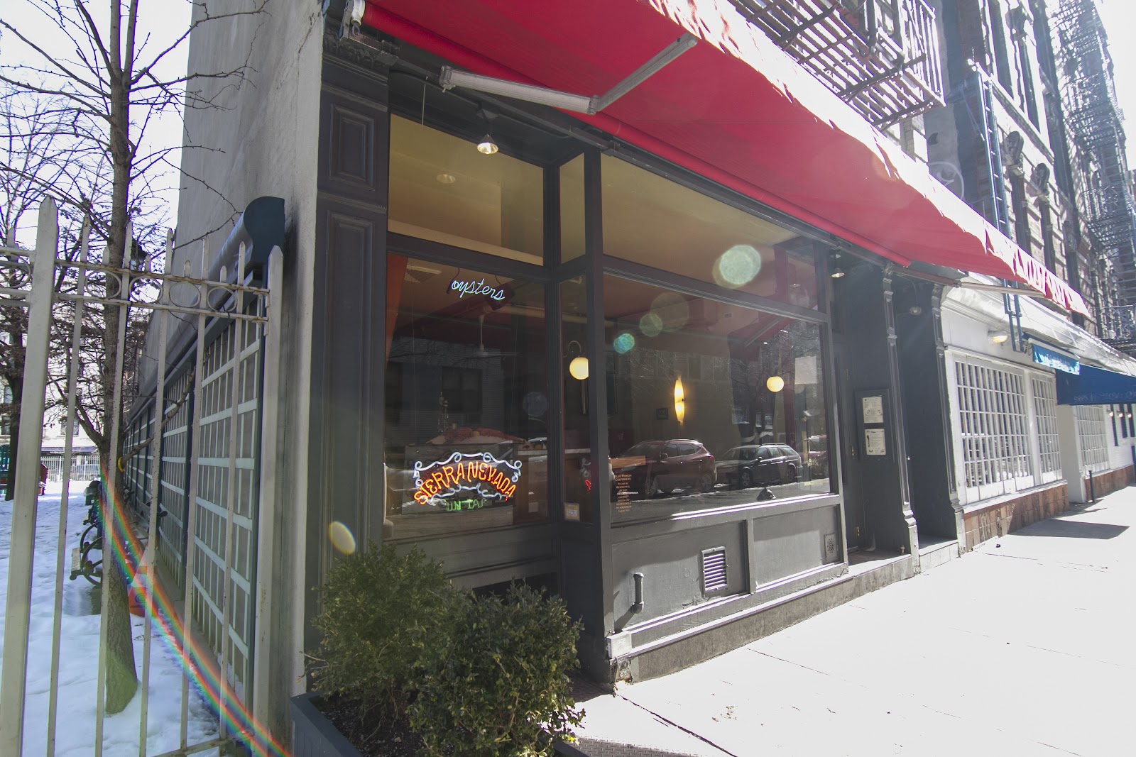 Blue Ribbon Brasserie: Where NYC's Best Chefs Actually Eat