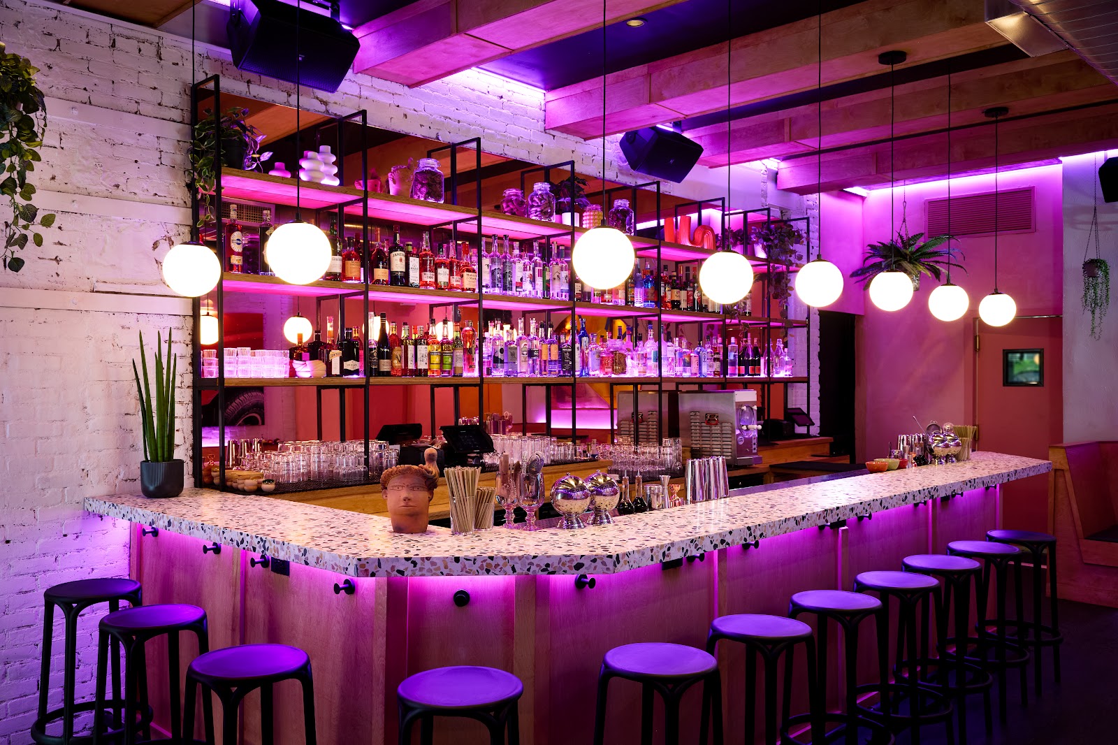 Superbueno Is the Rare Bar Where the Rankings Actually Match the Room